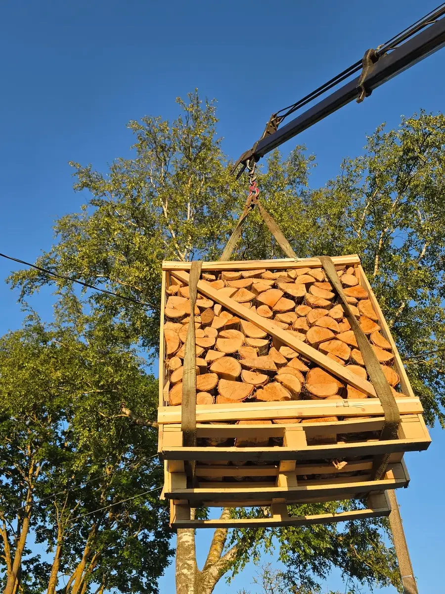 Sausų uosio malkų konteinerio iškrovimas Šiaulių regione